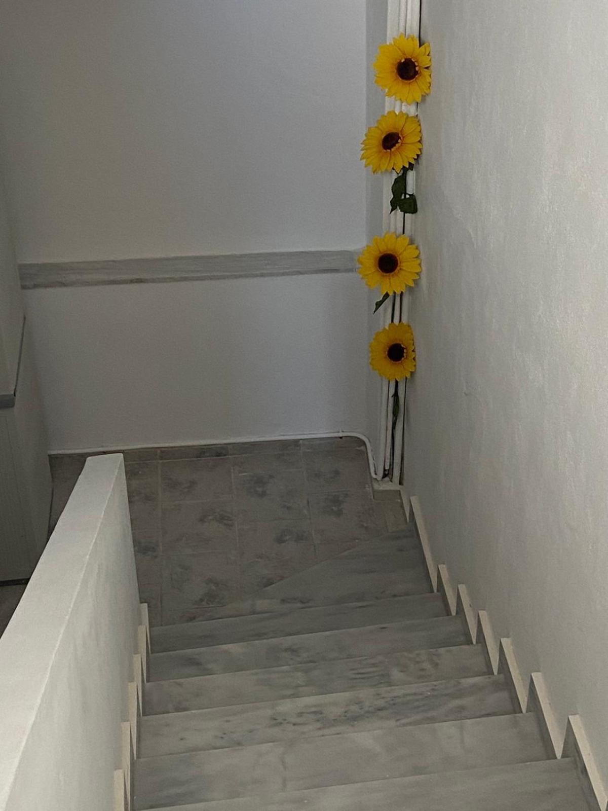 Two Palm Trees Apartment Adamantas  Exterior photo